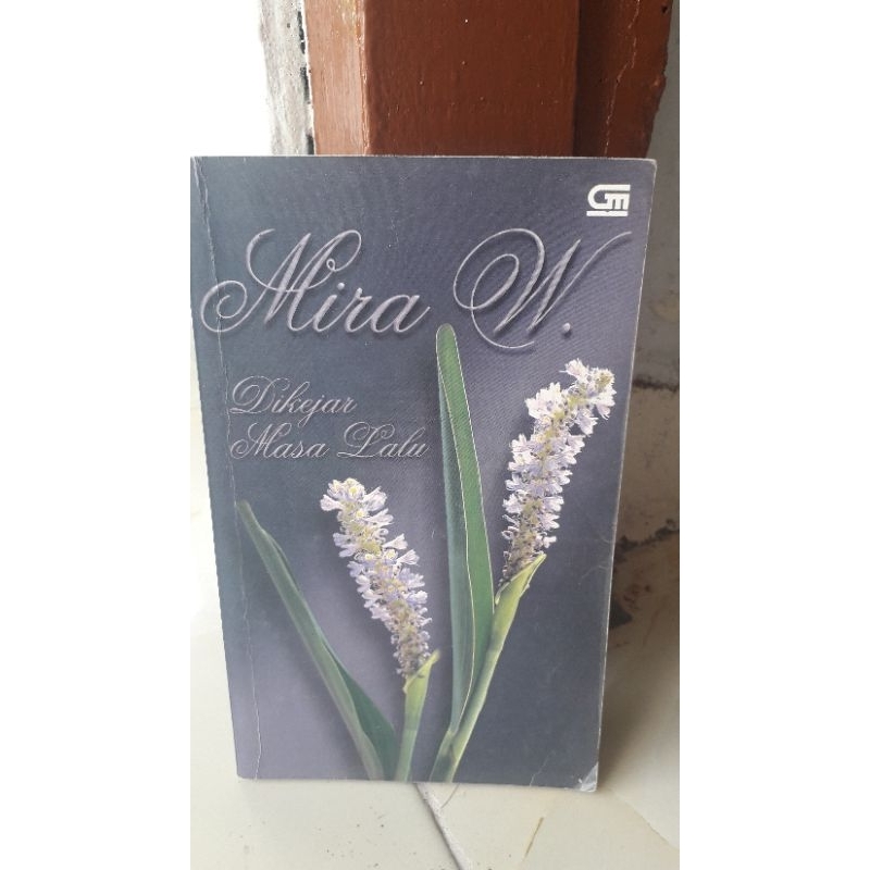 novel mira w di kejar masa lalu