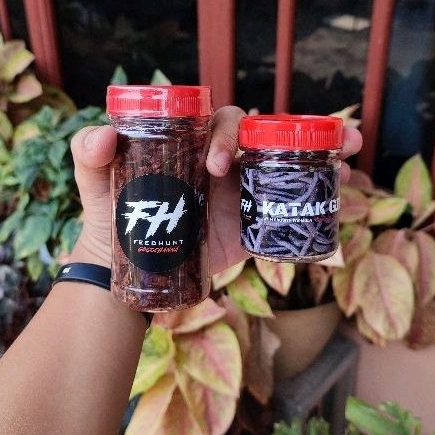 TERMURAH Feedhunt maggot x Feedhunt katak giling, pelet auranti kontes, progres auranti oren,