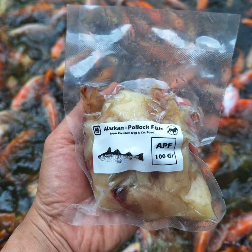 Wild Alaska Pollock Fish – Dog Cat Raw Food Makanan Anjing Kucing