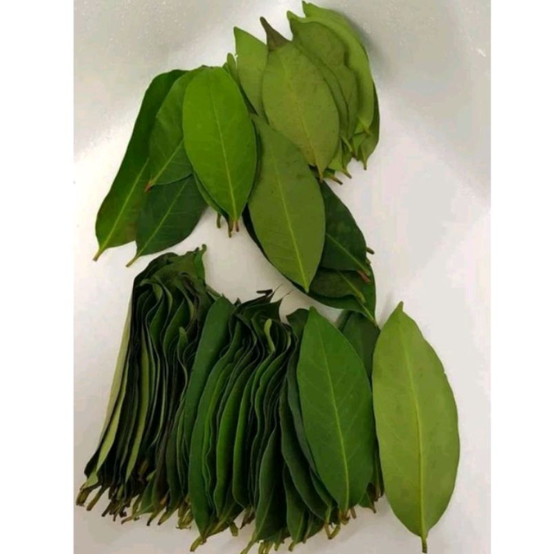 

daun salam