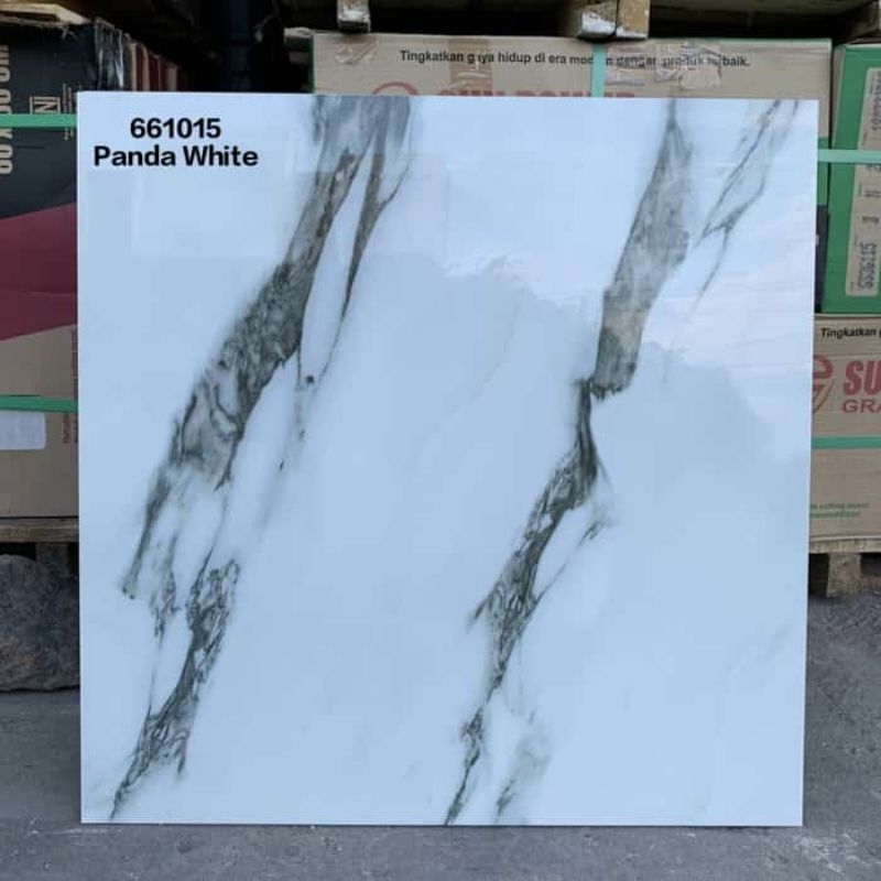 Granite Lantai 60x60 Panda White / SunPower / 661015