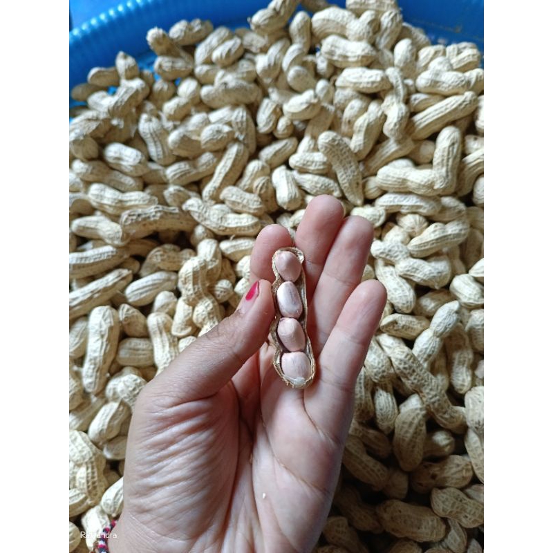 

KACANG OVEN ASIN GURIH RAFFANDRA 500gr