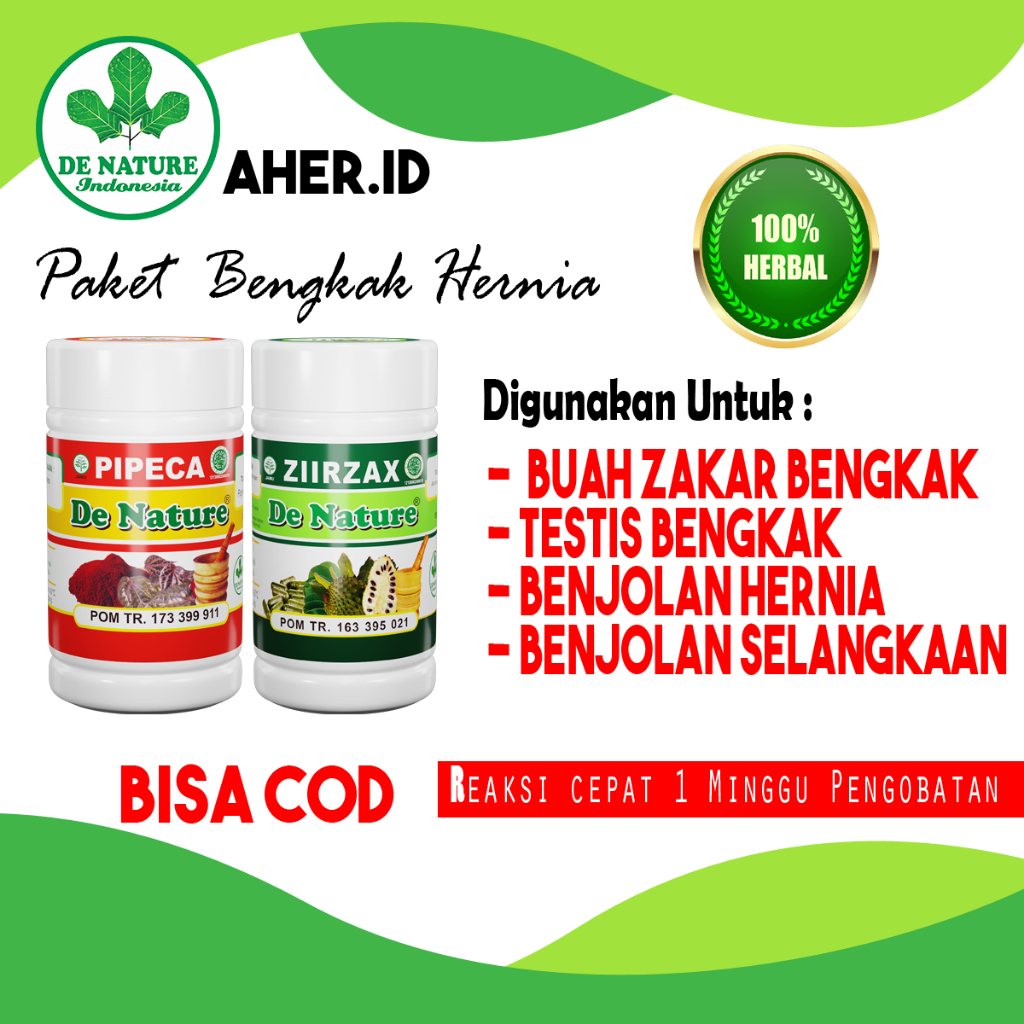 Obat Hernia Usus Turun Benjolan Hernia Testis Bengkak Sebelah Ori De Nature