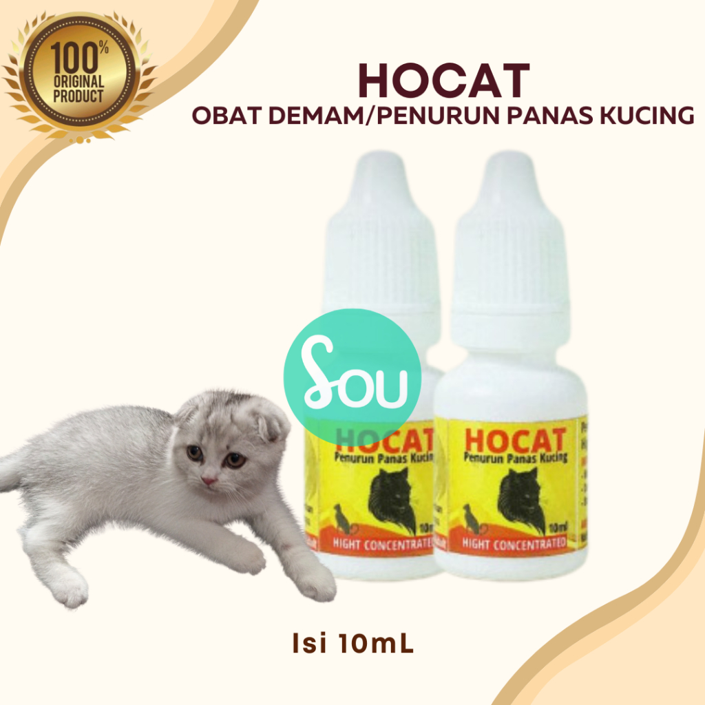 Obat Penurun Sakit Panas Kucing HOCAT Obat Penurun Demam Cocok Untuk Kucing Kitten dan Adult Ampuh