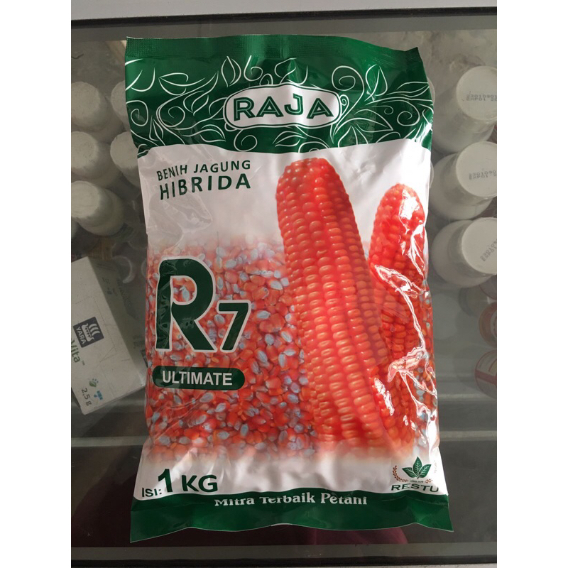 Benih Bibit Jagung RAJA R7 ULTIMATE