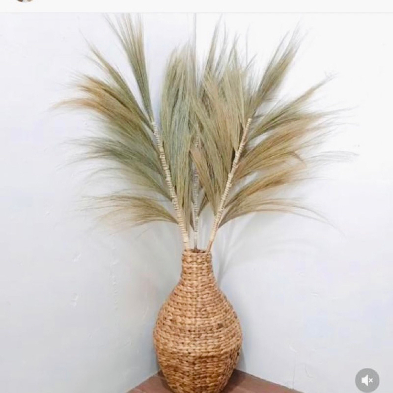 RAYUNG 13 JARI Home Decor Rayung Kering Rayung Panjang Rayung Natural Rayung Rustic Dekorasi Rustic 