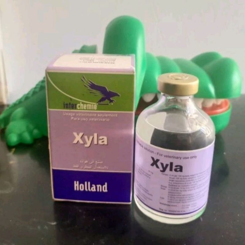 Xyla 50 ml Original