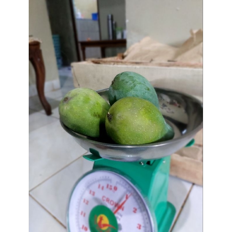 

mangga alpukat