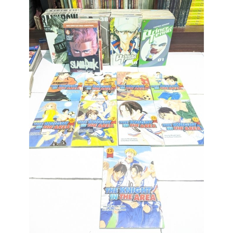 komik the knight in the area