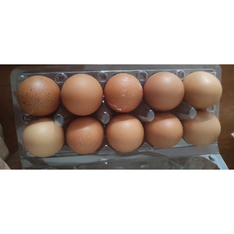 Telor Ayam Negeri 10 pcs / Telor Horn
