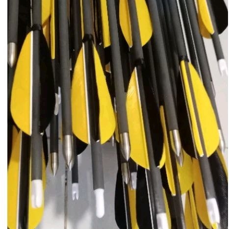 Arrow / Pure Carbon 6 mm Spine 500