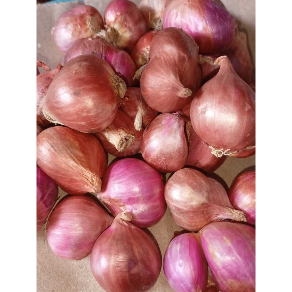 

Bawang Merah Kupas Segar