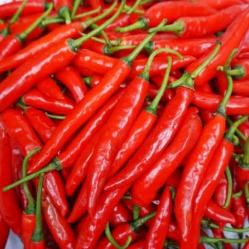 

cabe merah super 100 gram