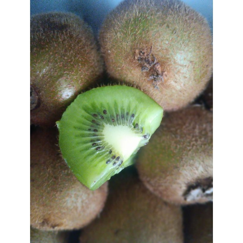 

GreenKiwi/kiwi hijau