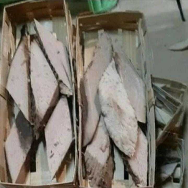 

ikan cuek tongkol potong