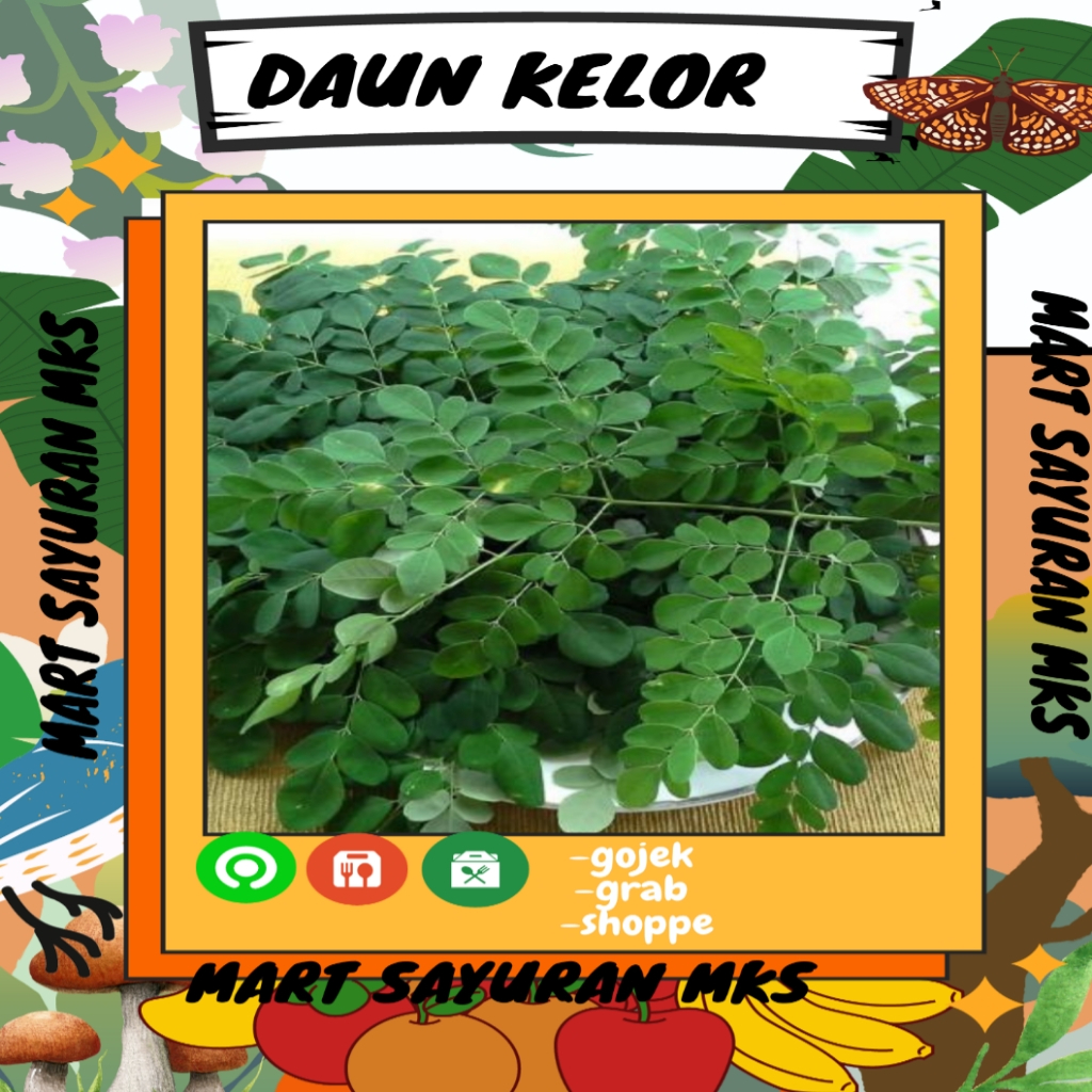 

2ikat Daun Kelor