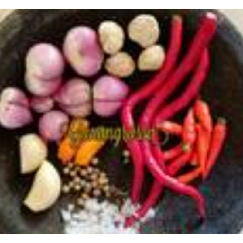 

bumbukelomricokhaspantura