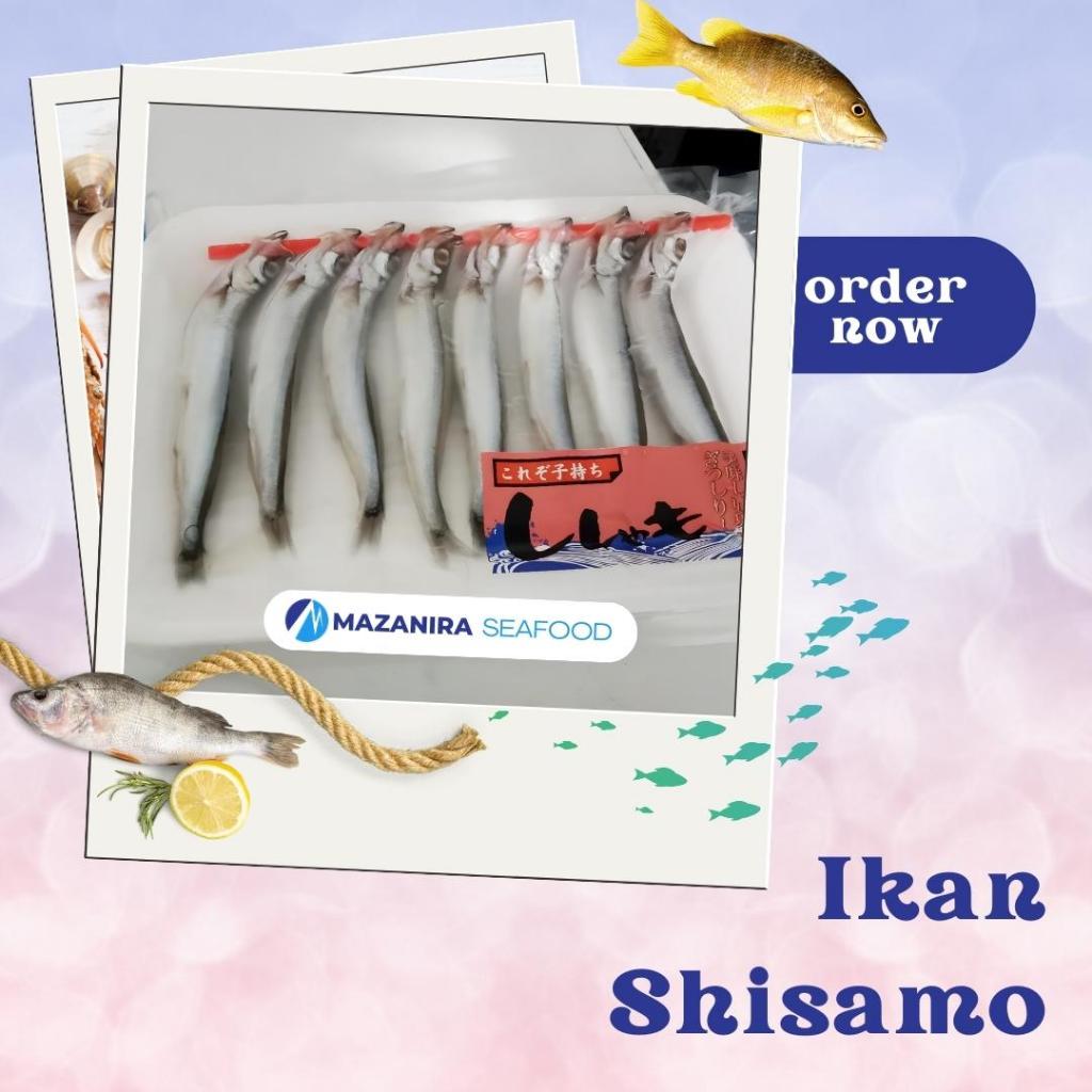 Ikan Shisamo/Capelin