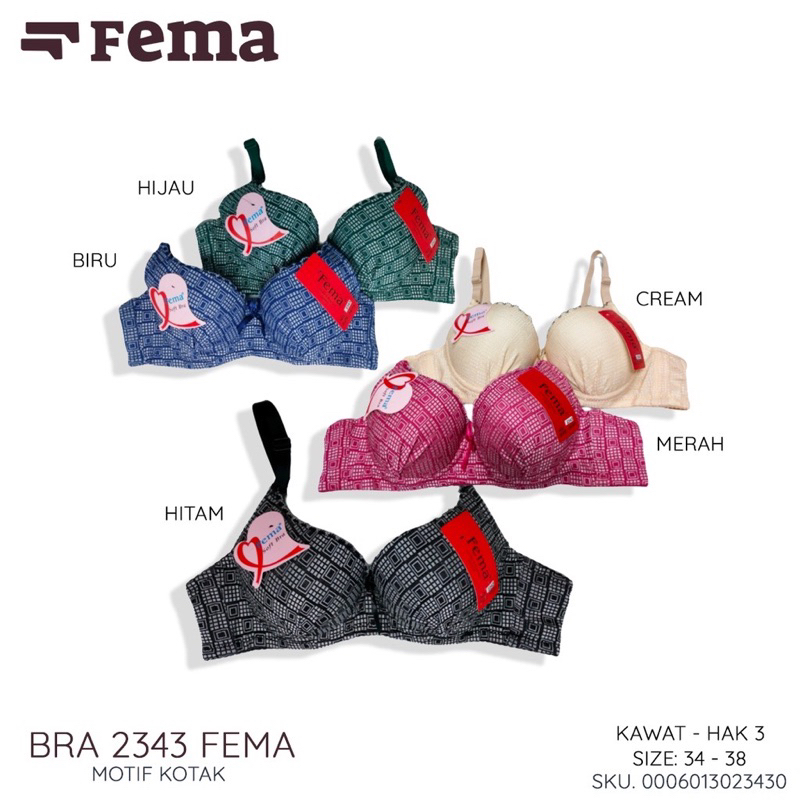 Fema Bra Wanita 2343 Kait 3 Cup B Kawat Premium