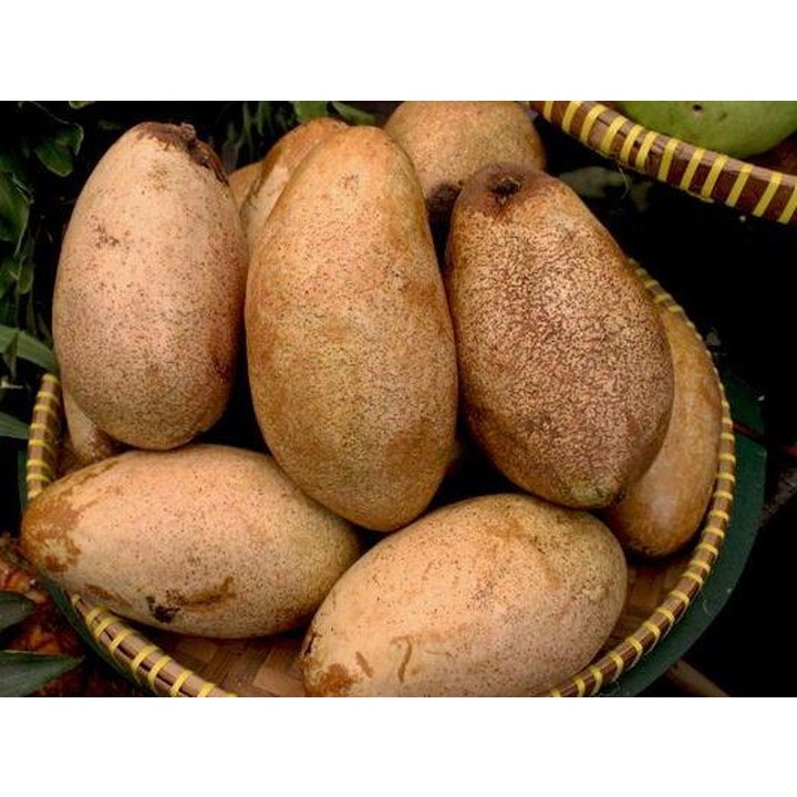 

Buah Kemang Langka Cocok Untuk Jus berat 1kg