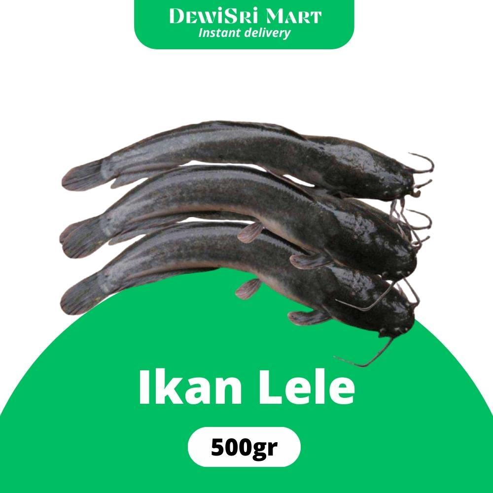 

Ikan Lele 500gr ( sudah di bersihkan) - Dewi Sri Mart