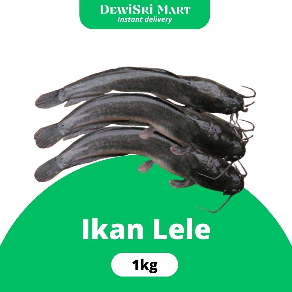 

Ikan Lele 1kg ( sudah bersih) - Dewi Sri Mart