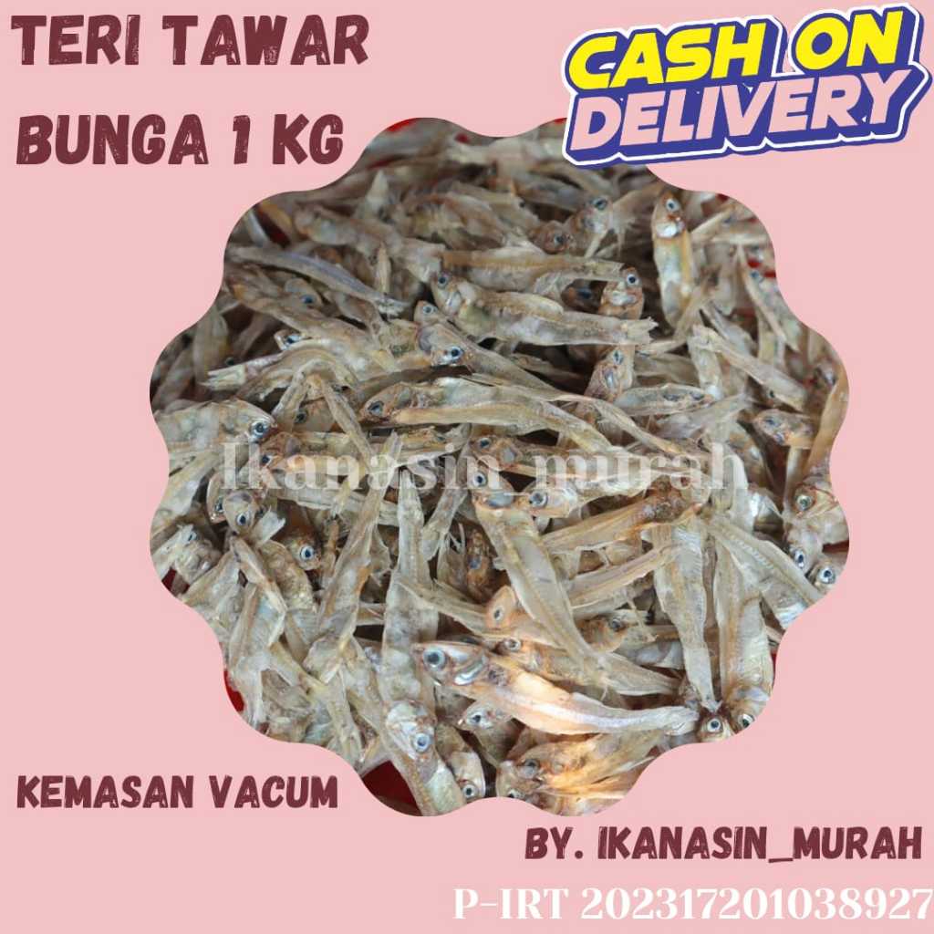 

IKAN TERI TAWAR BUNGA 1 KG / IKAN ASIN MURAH BISA COD