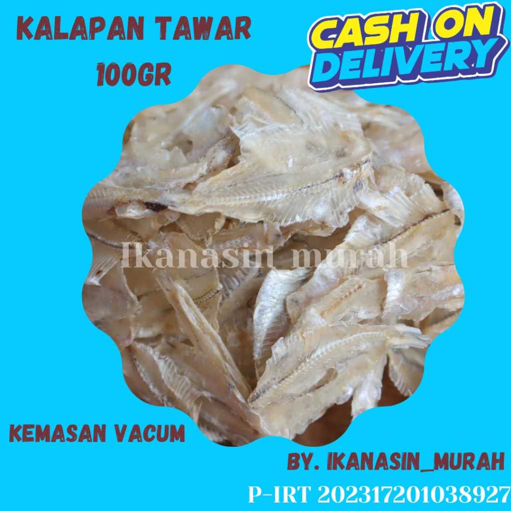 

IKAN ASIN KALAPAN TAWAR 100GRAM / IKAN ASIN MURAH BISA COD