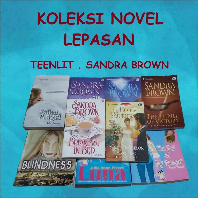 KOLEKSI NOVEL LEPASAN SANDRA BROWN TEENLIT BLINDNESS