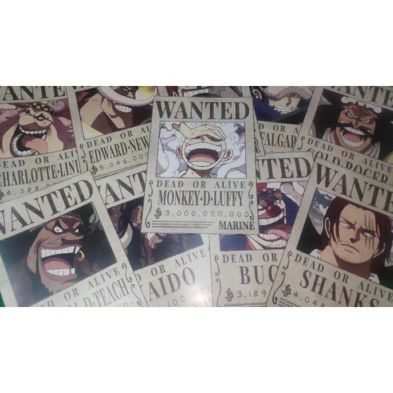 poster one piece wanted