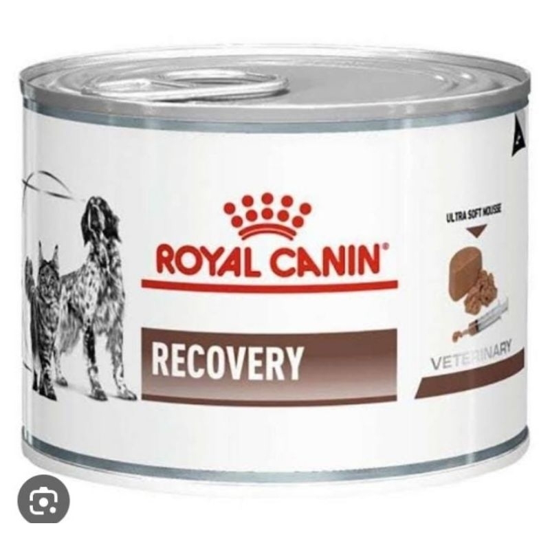 Makanan Kaleng Kucing Anjing Sakit Royal Canin Recovery 195gr