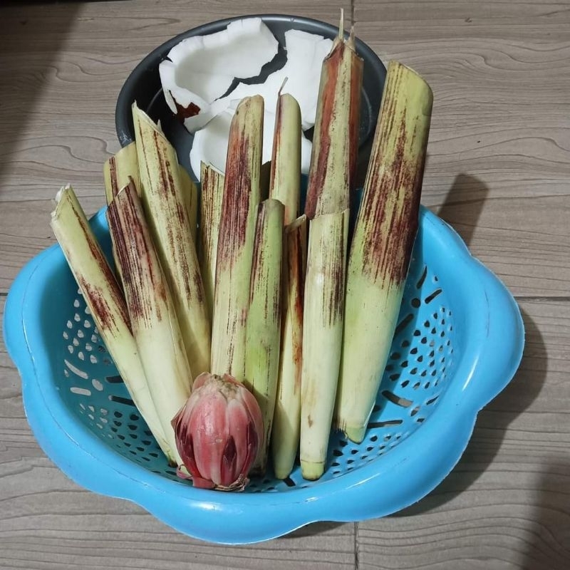 

terubuk plus combrang