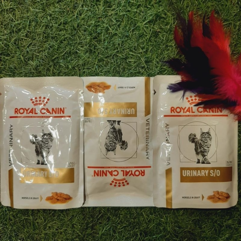 WET Food Royal Canin URINARY S/O