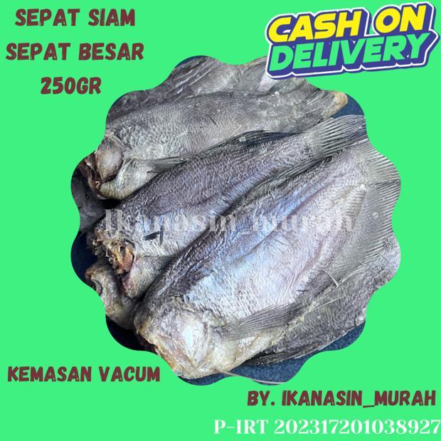 

IKAN ASIN SEPAT KECIL / SEPAT BESAR 250 GRAM / IKAN ASIN MURAAH BISA COD