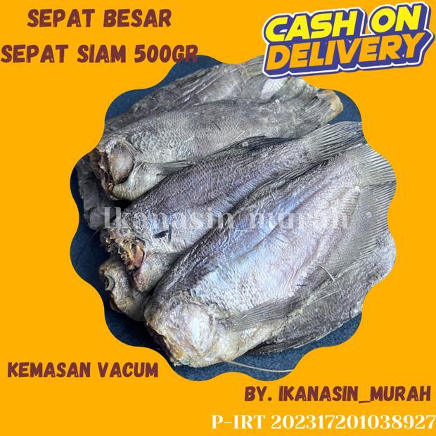 

IKAN ASIN SEPAT KECIL / SEPAT BESAR 500 GRAM / IKAN ASIN MURAAH BISA COD