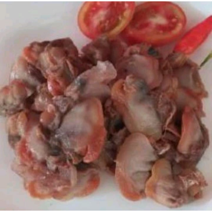 

Daging Kerang Dara 1kg Asli Bangka Kualitas Super