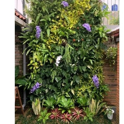 jasa pembuatan taman vertical garden