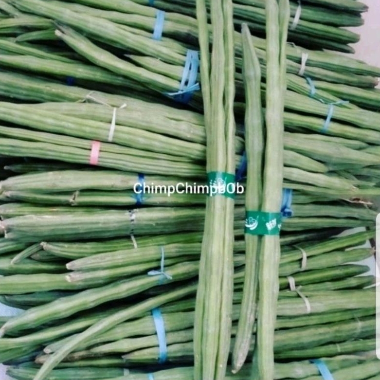 

SAYUR KLENTANG BUAH DAUN KELOR / KELENTANG SEGAR 1 KG