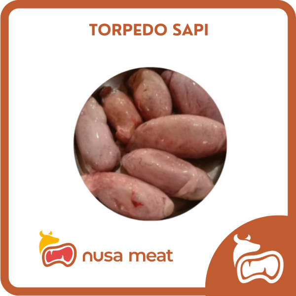 

Torpedo Sapi Segar - 1 Pcs