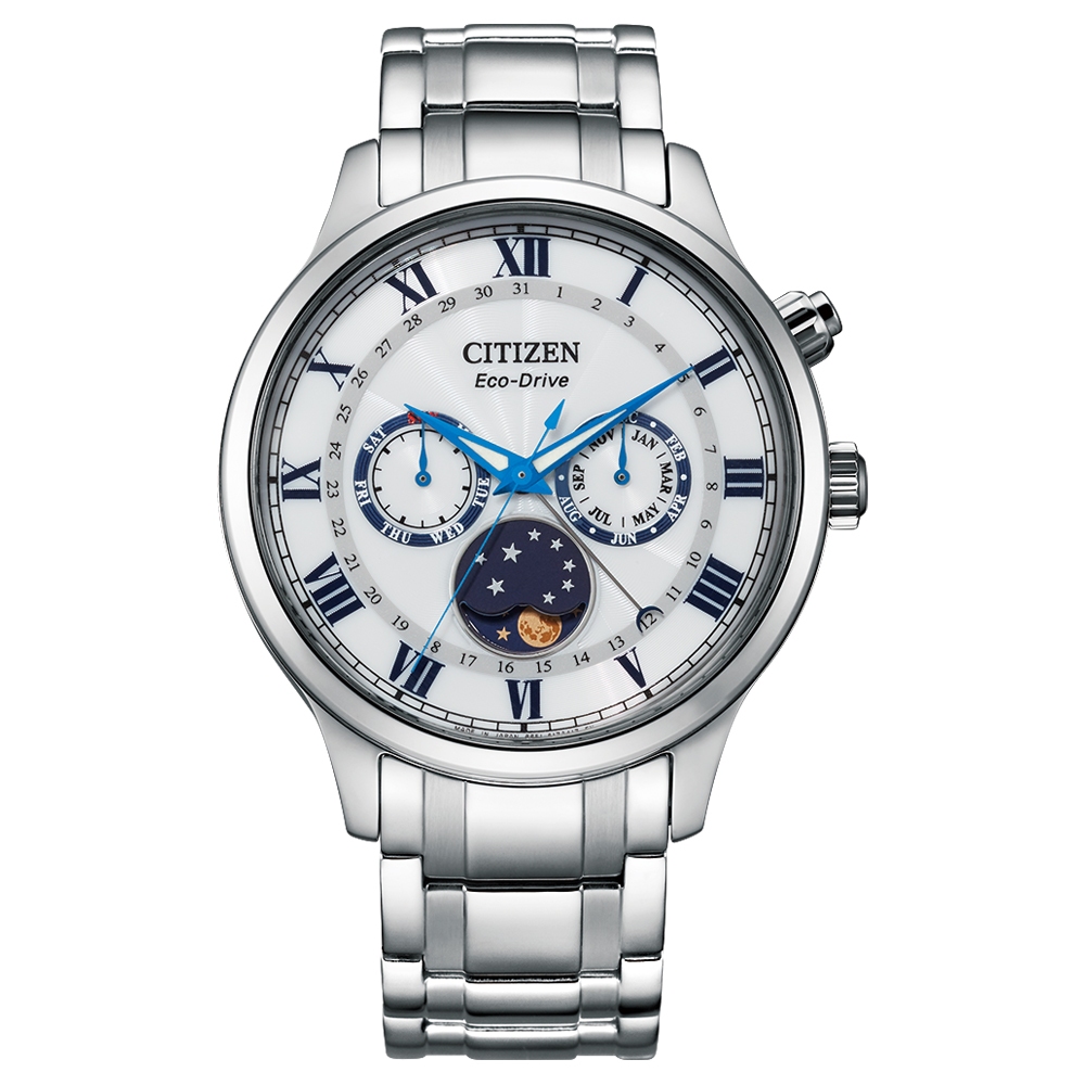 Citizen Eco Drive Men's Watches CTZ AP1050-81A