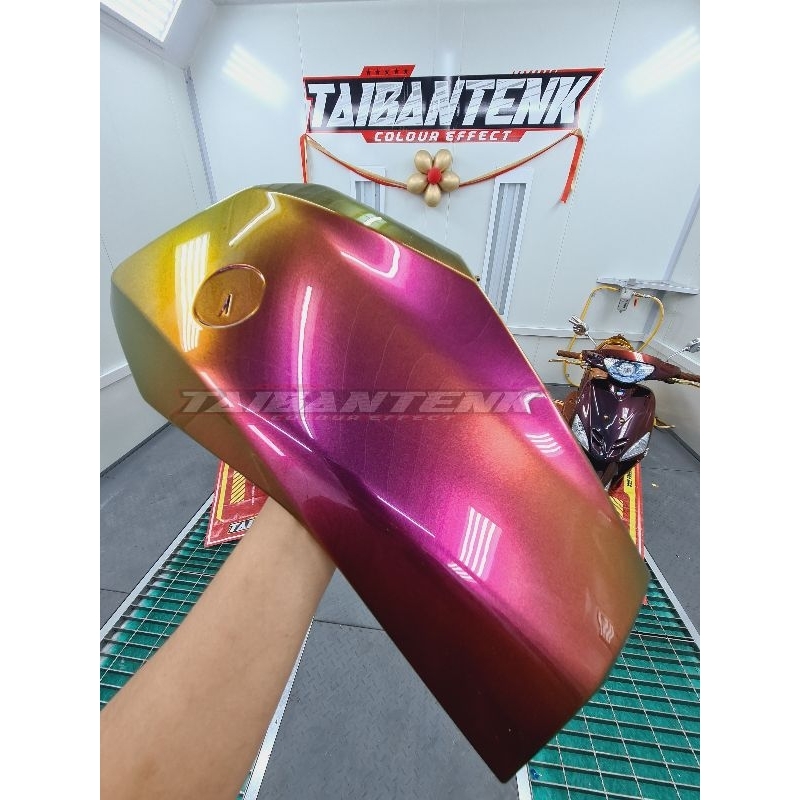 Cat Bunglon TAIBANTENK MIXMAX XS