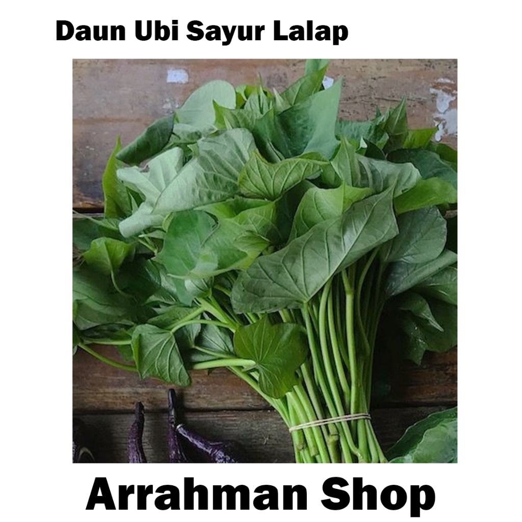 

Daun Ubi - Sayur Fresh Daun Ubi Segar Lalapan