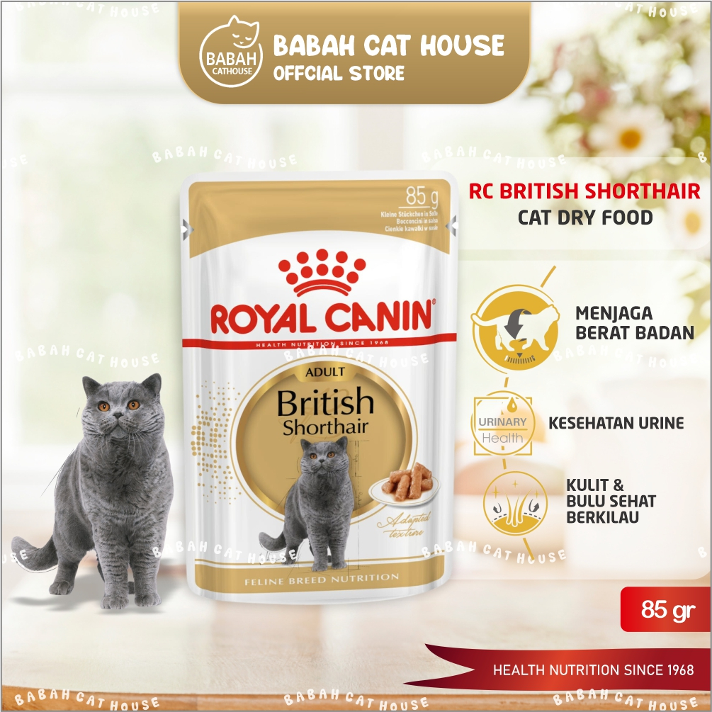 Rc British Shorthair POUCH SACHET Cat Food Royal Canin Makanan Kucing Wet 85gr Adult Saset Catfood