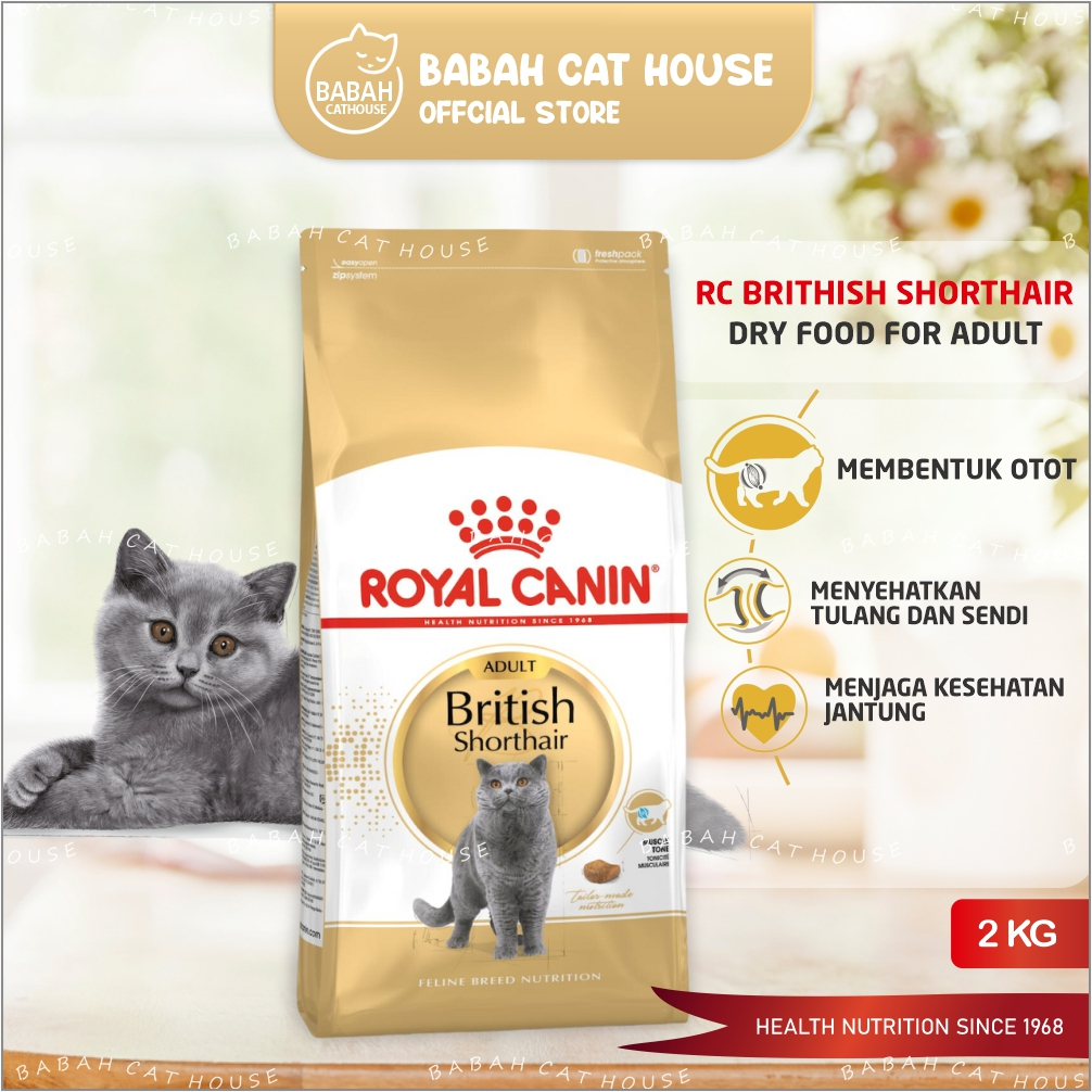 RC BRITISH ADULT 2KG Cat Food Royal Canin Shorthair Makanan Kucing Dewasa Kering Britis Kiten Royalcanin Short hair Catfood 2 Kg