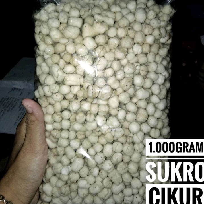 

Grosir Pilus Cikur 1kg | Sukro Cikur Sari Rasa Murah Halal Higienis Terlaris