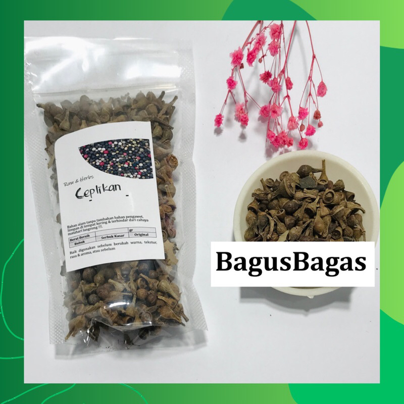 

100gr Biji Ceplikan Ceplik Ceplik Sari MURNI Kering Herbal Tradisional Jurus Sehat Rempah JSR