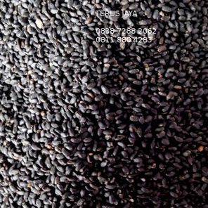 

FYSQ5866 TERMURAH Biji Selasih kualitas bagus satuan 100g TELASIH