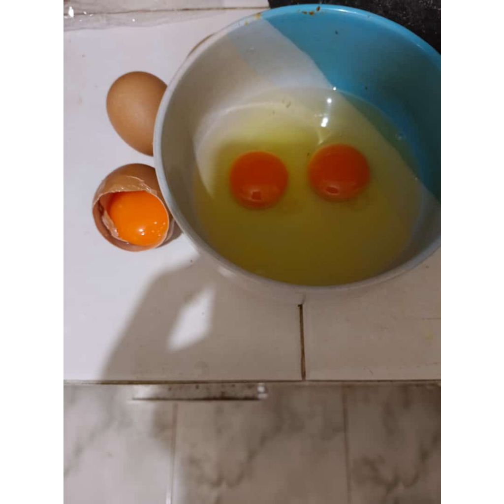 

Telur Ayam Negeri Omega 3 / Merah