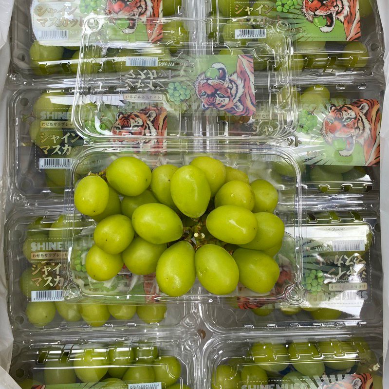 

TERMURAH Buah Anggur Shine Muscat Anggur Hijau Pack Non Biji