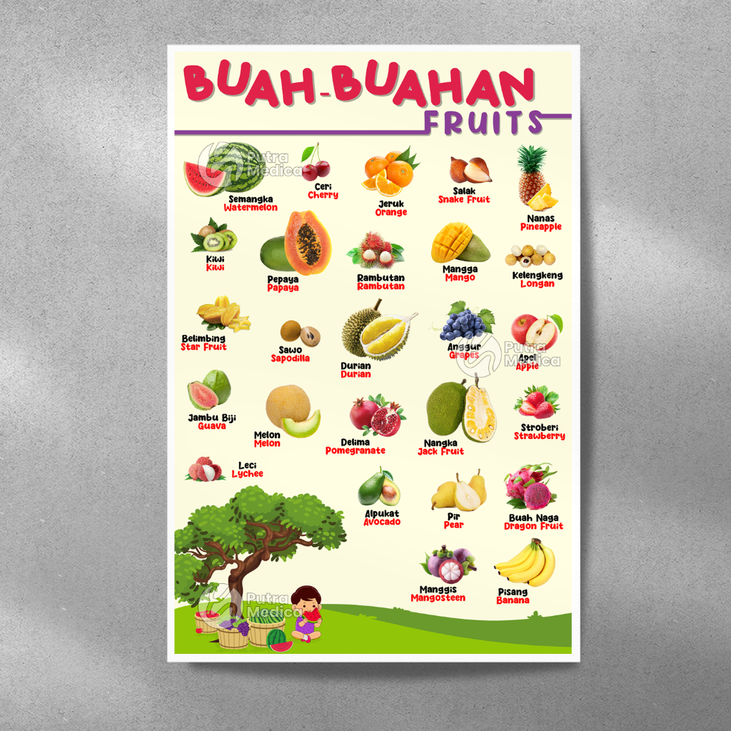 Poster Mengenal Buah - Buahan A3+ / Gambar Edukasi Anak / Belajar Buah
